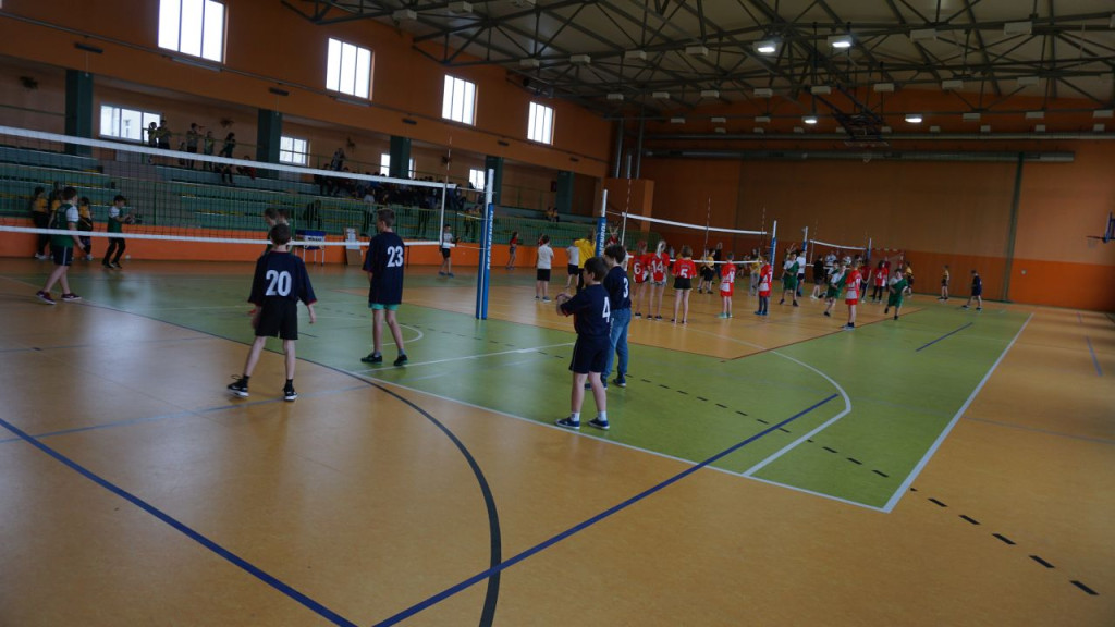 Dziewczyny z SP w Radoszycach są niepokonane w siatkówkę! [zdjęcia]