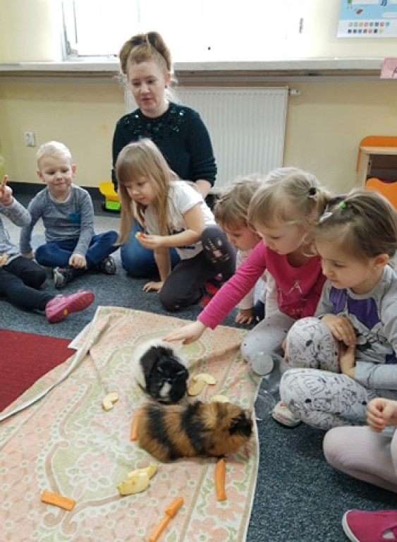 Żłobek i Przedszkole `Bajkowa Kraina` to dobry wybór! [zdjęcia]