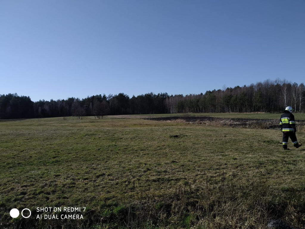 Strażacy od początku weekendu interweniowali do kilkunastu pożarów traw [zdjęcia]
