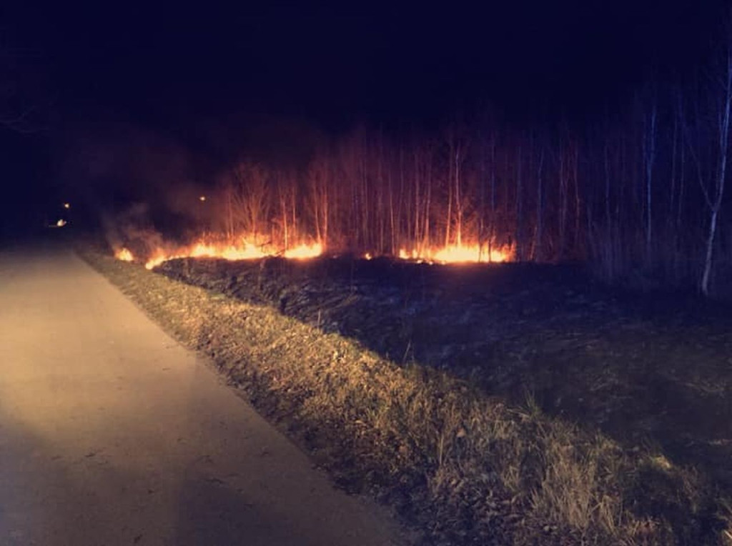 Strażacy od początku weekendu interweniowali do kilkunastu pożarów traw [zdjęcia]