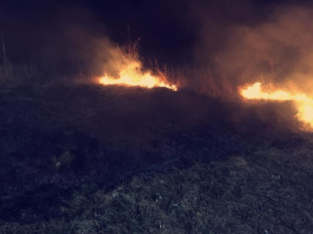 Strażacy od początku weekendu interweniowali do kilkunastu pożarów traw [zdjęcia]