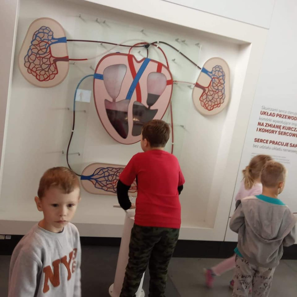 Akademia Przedszkolaka. Nowoczesne przedszkole w centrum Końskich [zdjęcia]