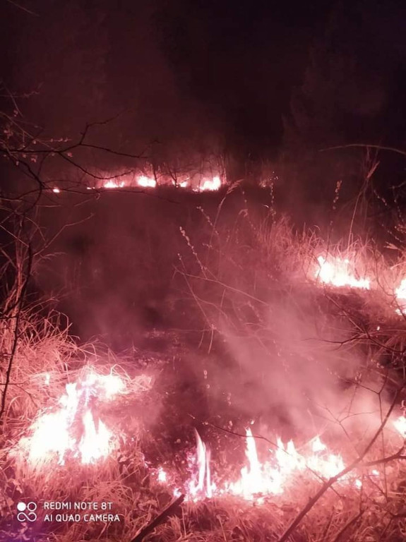 Liczne interwencje strażaków do pożarów traw [zdjęcia]