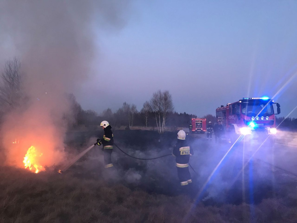 Liczne interwencje strażaków do pożarów traw [zdjęcia]