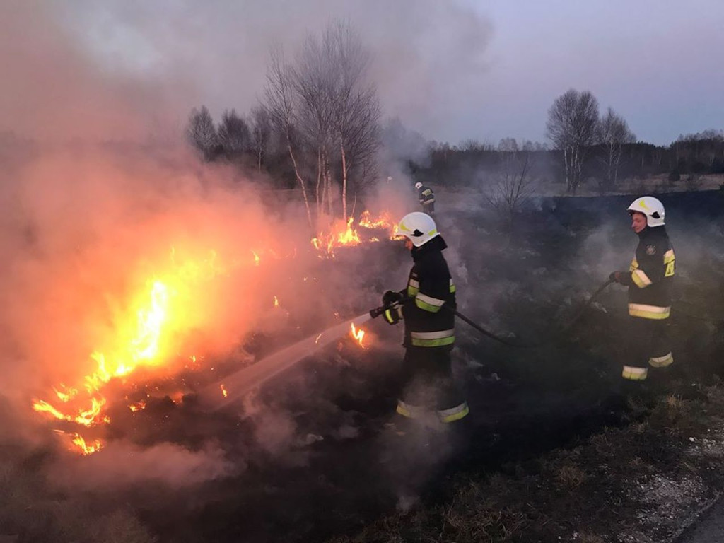 Liczne interwencje strażaków do pożarów traw [zdjęcia]