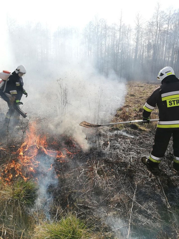 Liczne interwencje strażaków do pożarów traw [zdjęcia]