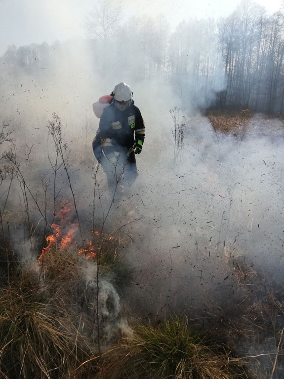 Liczne interwencje strażaków do pożarów traw [zdjęcia]