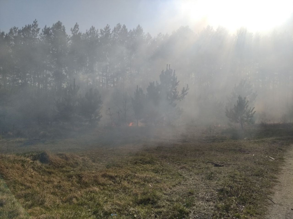 Liczne interwencje strażaków do pożarów traw [zdjęcia]