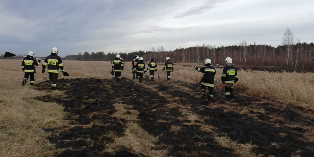 Niemal o połowę więcej pożarów traw i lasów niż rok temu! [zdjęcia]