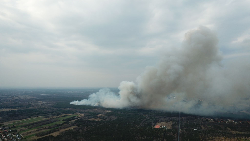 Niemal o połowę więcej pożarów traw i lasów niż rok temu! [zdjęcia]
