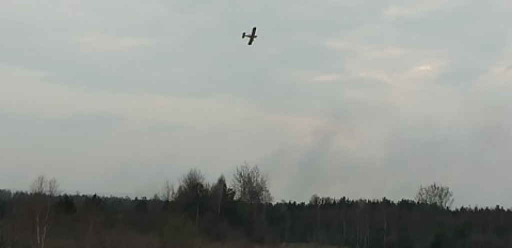 Niemal o połowę więcej pożarów traw i lasów niż rok temu! [zdjęcia]