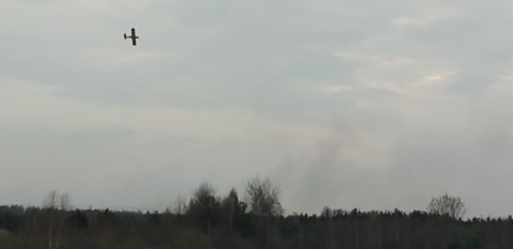 Niemal o połowę więcej pożarów traw i lasów niż rok temu! [zdjęcia]