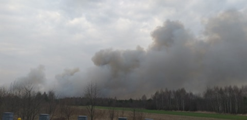 Niemal o połowę więcej pożarów traw i lasów niż rok temu! [zdjęcia]