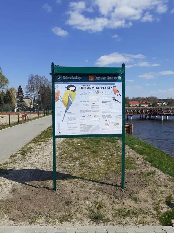 `Jak mądrze dokarmiać ptaki?` Postawiono tablice informacyjne