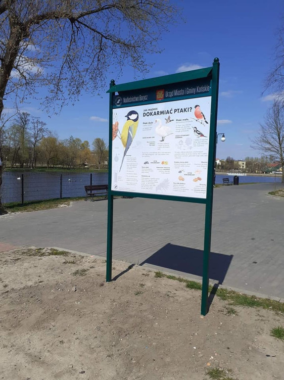 `Jak mądrze dokarmiać ptaki?` Postawiono tablice informacyjne
