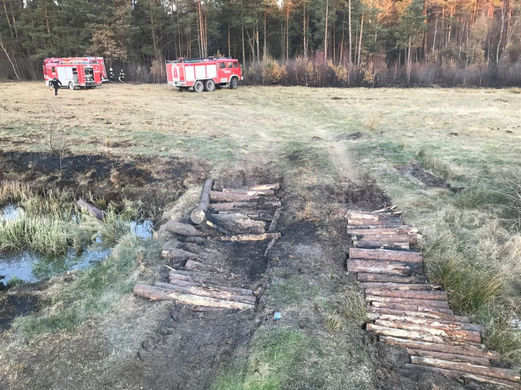 Niemal 30 interwencji do pożarów traw i lasów przez weekend! [zdjęcia]