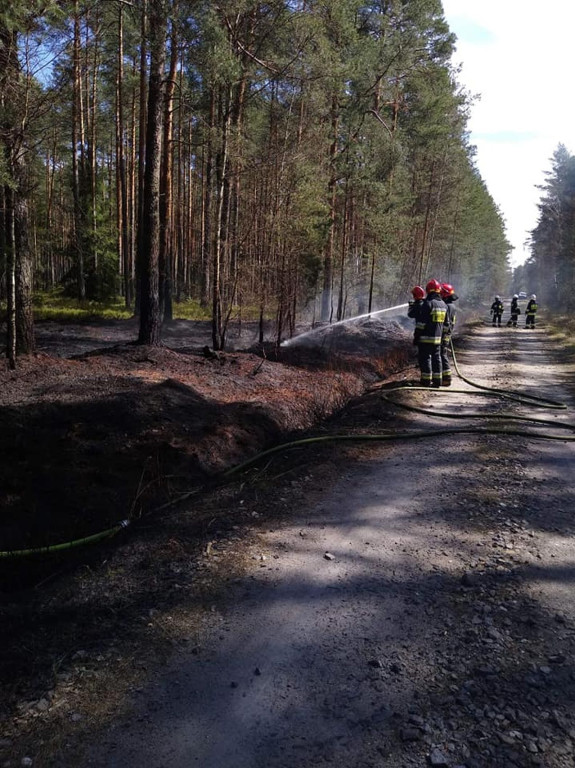 Niemal 30 interwencji do pożarów traw i lasów przez weekend! [zdjęcia]