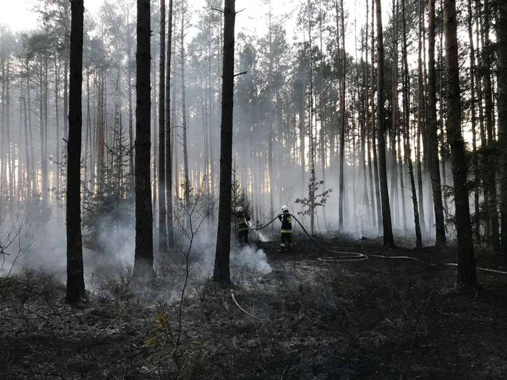 Niemal 30 interwencji do pożarów traw i lasów przez weekend! [zdjęcia]