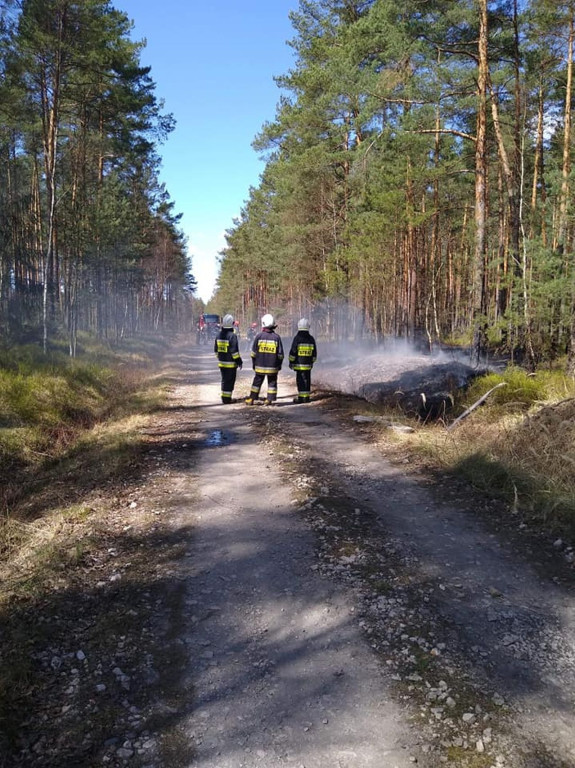 Niemal 30 interwencji do pożarów traw i lasów przez weekend! [zdjęcia]