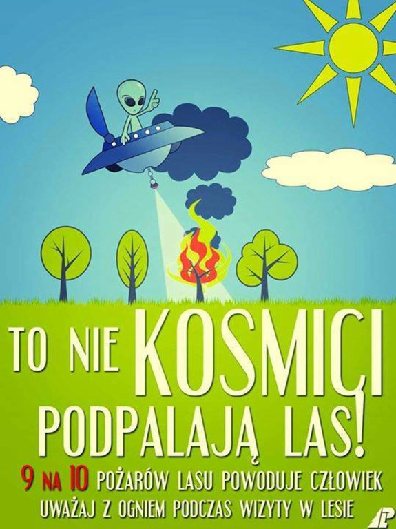 Coraz więcej pożarów lasów w skutek suszy. Leśnicy i strażacy walczą z zagrożeniem [wideo, zdjęcia]