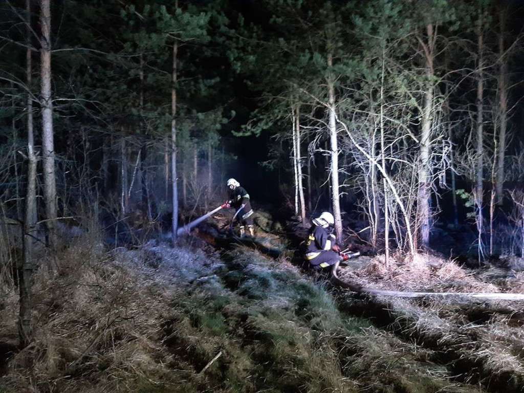 Coraz więcej pożarów lasów w skutek suszy. Leśnicy i strażacy walczą z zagrożeniem [wideo, zdjęcia]