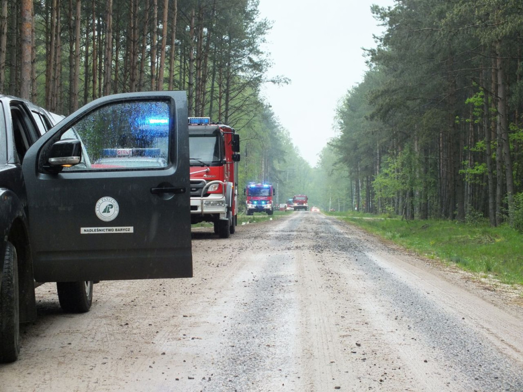 Coraz więcej pożarów lasów w skutek suszy. Leśnicy i strażacy walczą z zagrożeniem [wideo, zdjęcia]