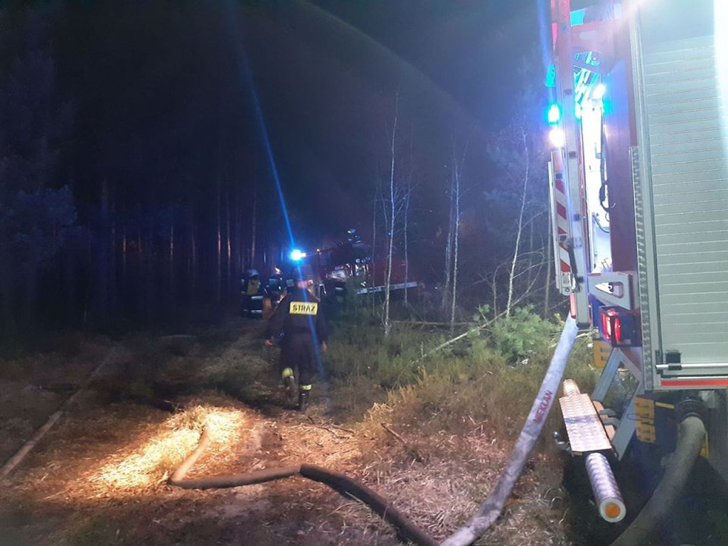 Coraz więcej pożarów lasów w skutek suszy. Leśnicy i strażacy walczą z zagrożeniem [wideo, zdjęcia]