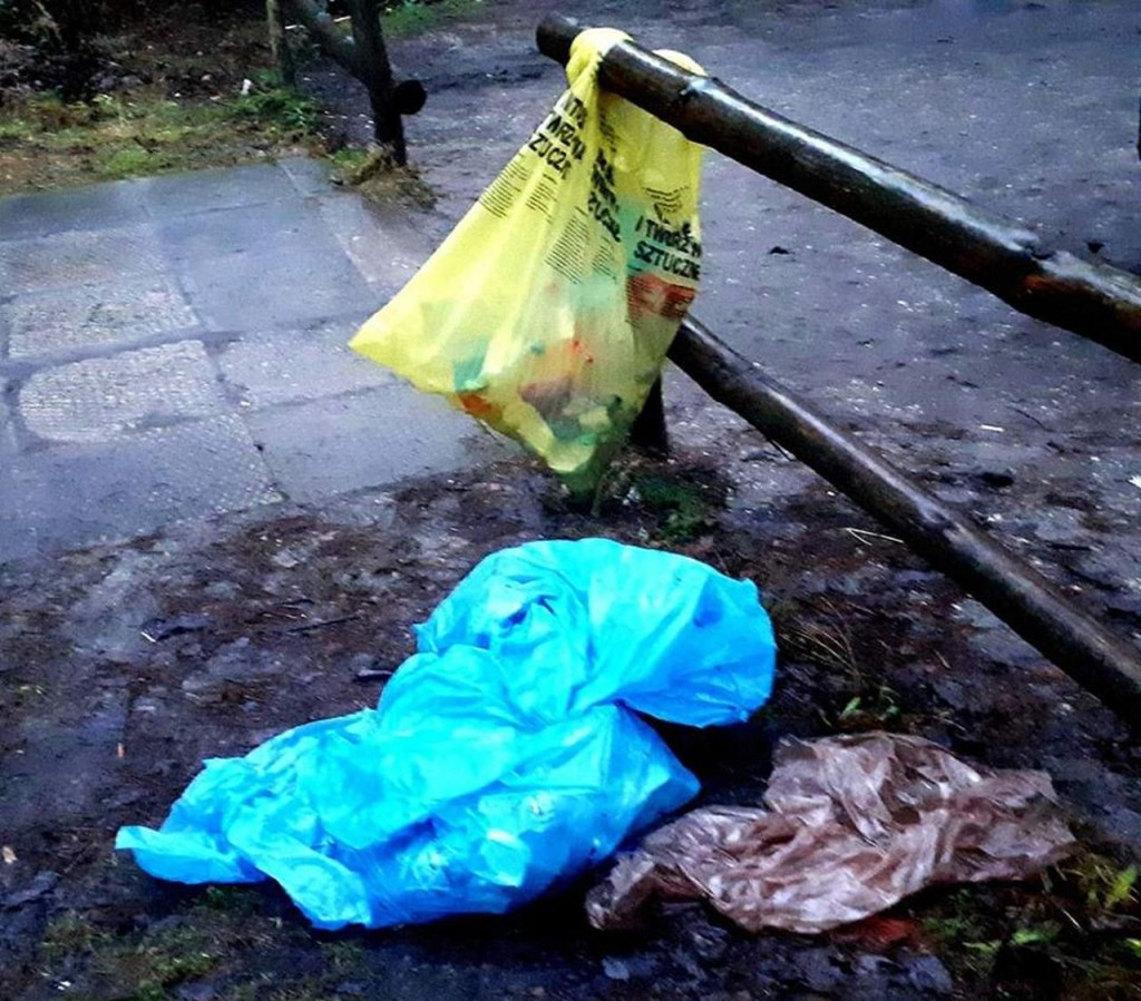 Zaśmiecanie lasów ciągle problemem w naszym regionie [wideo, zdjęcia]