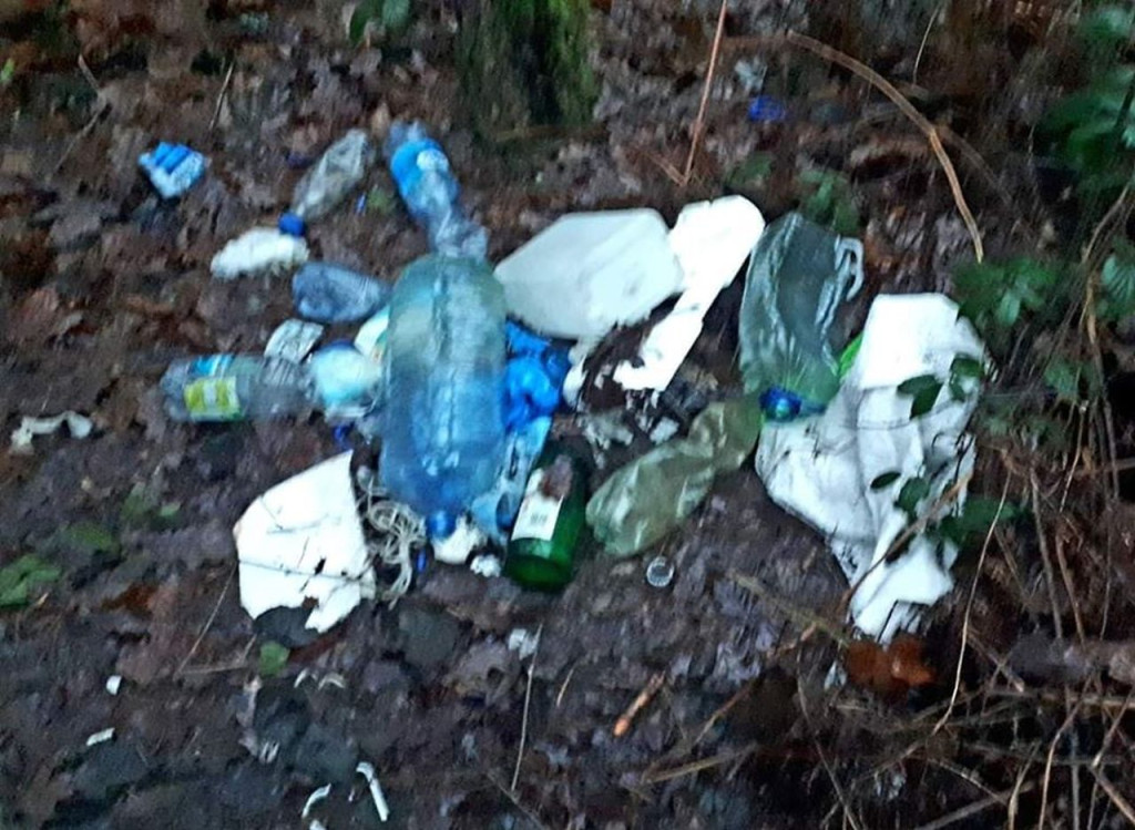 Zaśmiecanie lasów ciągle problemem w naszym regionie [wideo, zdjęcia]