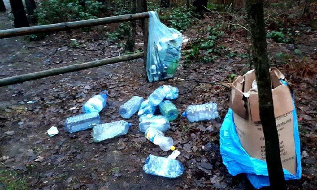Zaśmiecanie lasów ciągle problemem w naszym regionie [wideo, zdjęcia]