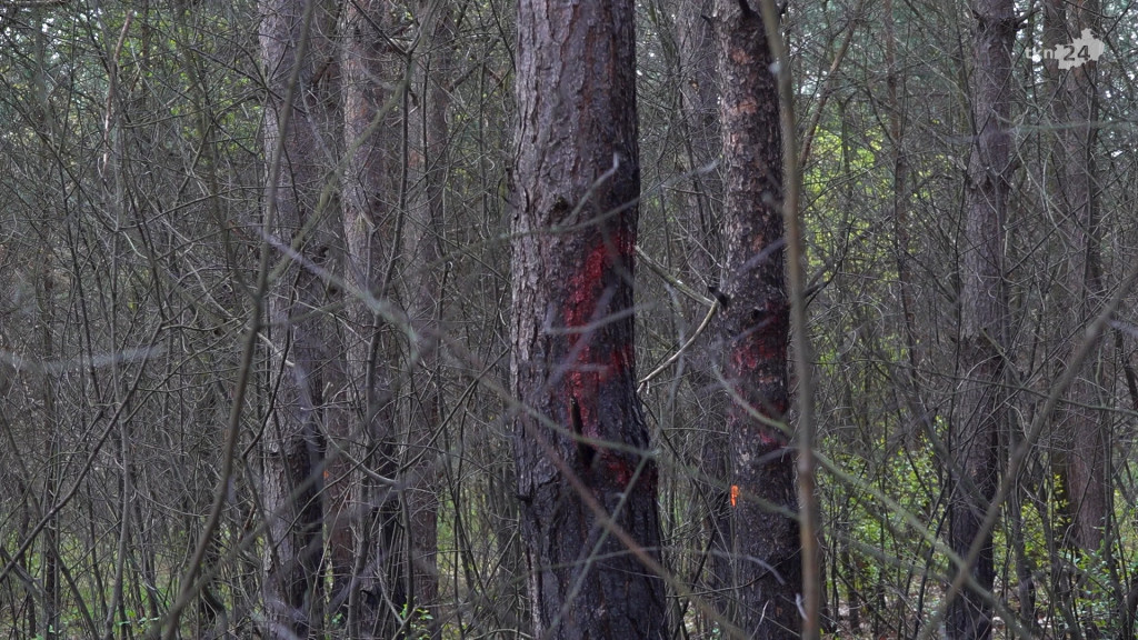 Sataniści działają w gminie Końskie? Odkryto niepokojące miejsce [zdjęcia, wideo] AKTUALIZACJA