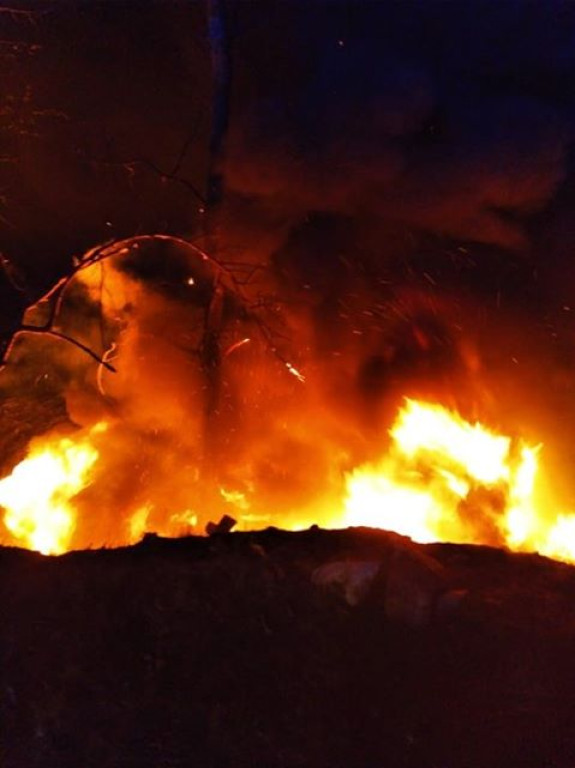 Mnin: Ktoś wywozi i pali śmieci w lesie? [wideo, zdjęcia]