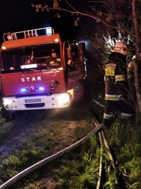 Mnin: Ktoś wywozi i pali śmieci w lesie? [wideo, zdjęcia]