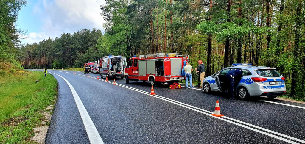 Śmiertelny wypadek na drodze krajowej 74 [zdjęcia]