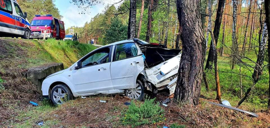 Śmiertelny wypadek na drodze krajowej 74 [zdjęcia]