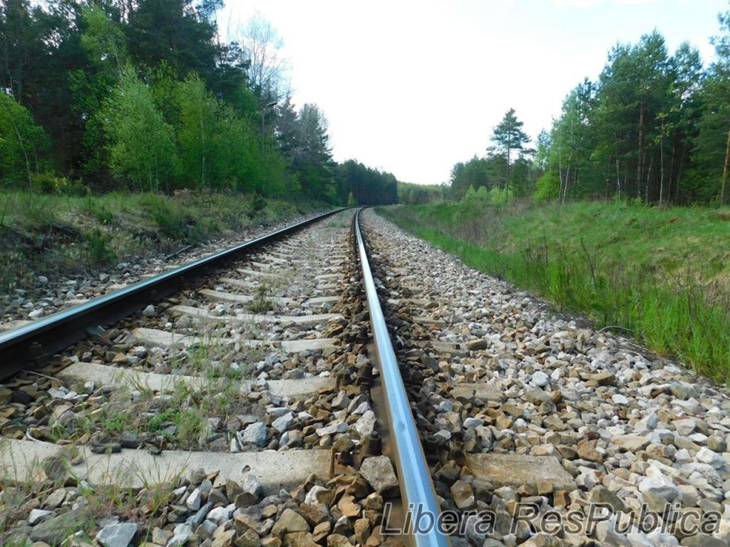 Odnowiono tablicę przy pomniku w miejscowości Wąsosz [zdjęcia]