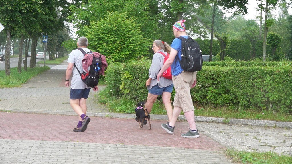 120 osób na trasie Koneckiego Maratonu Pieszego [wideo, zdjęcia]