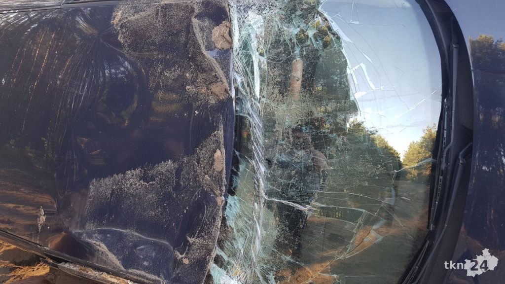 Tajemnicze auto spod Gowarczowa. Co robi golf od kilku tygodni w lesie? [zdjęcia]