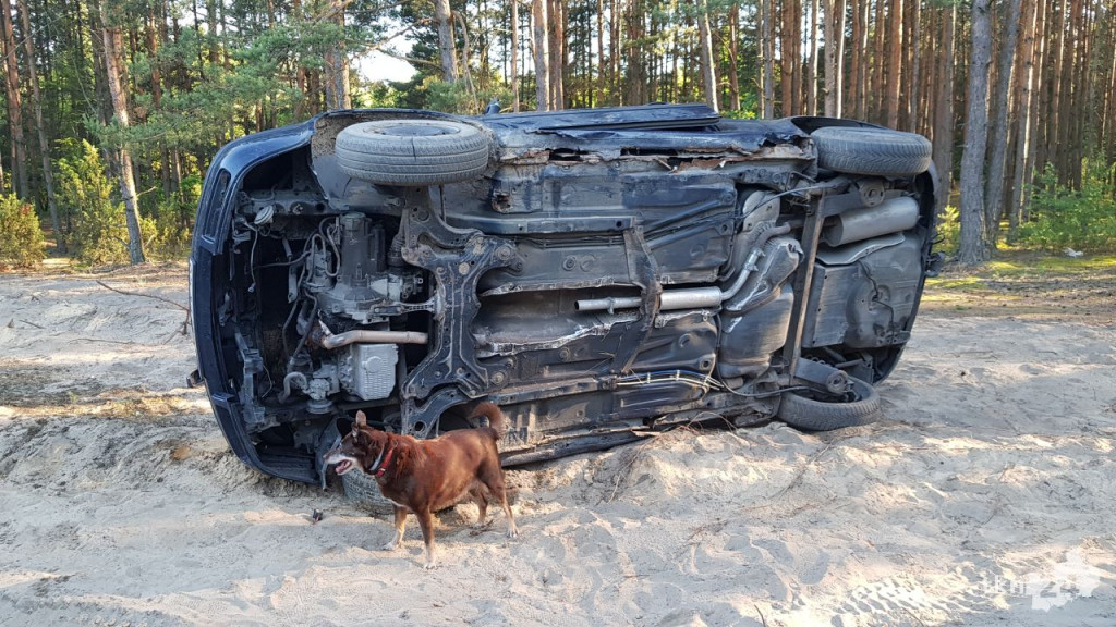 Tajemnicze auto spod Gowarczowa. Co robi golf od kilku tygodni w lesie? [zdjęcia]