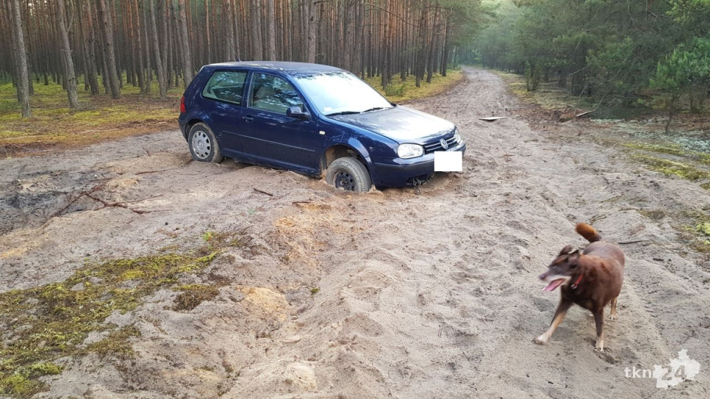 Tajemnicze auto spod Gowarczowa. Co robi golf od kilku tygodni w lesie? [zdjęcia]