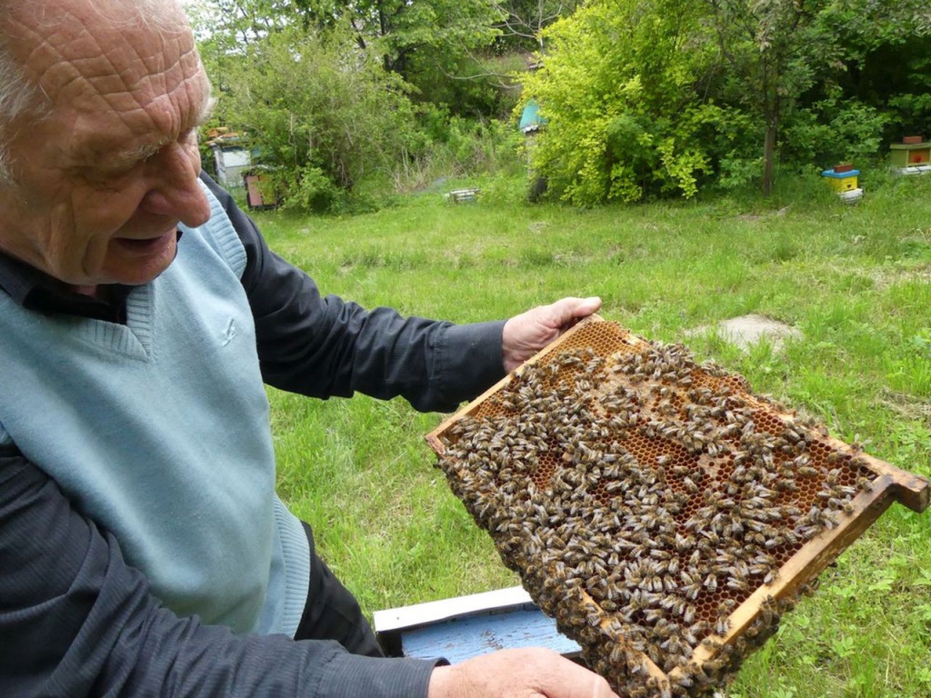 Wywiad z pszczelarzem z Fałkowa: Józefem Kołaczkiem [zdjęcia]