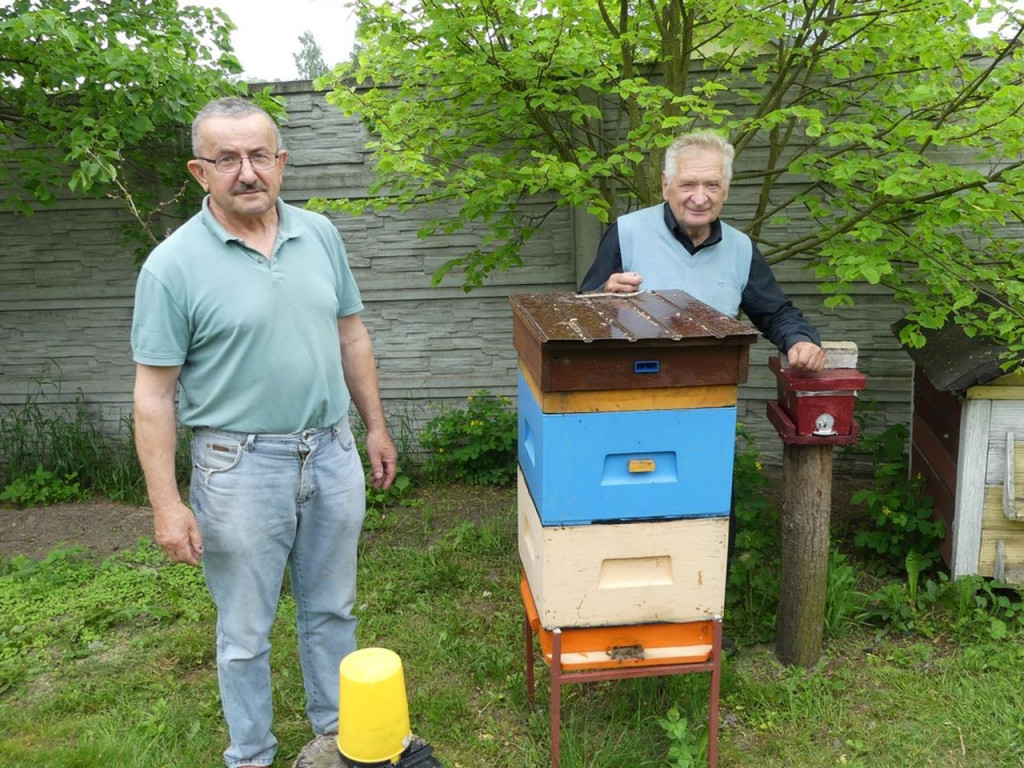 Wywiad z pszczelarzem z Fałkowa: Józefem Kołaczkiem [zdjęcia]