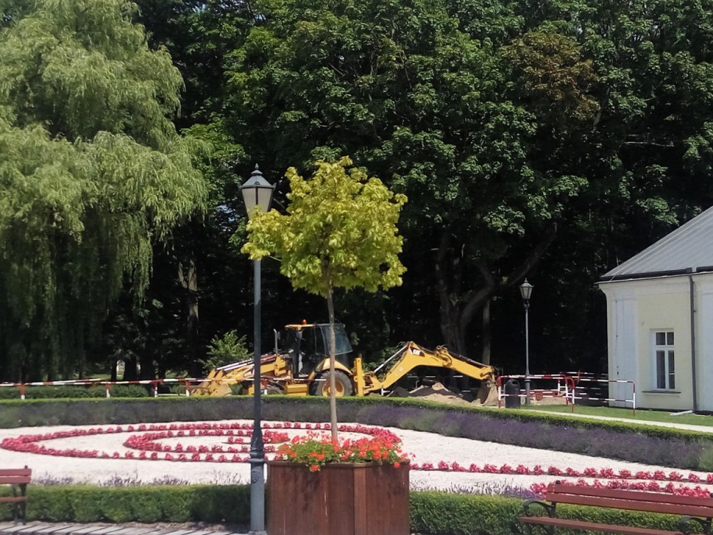 Roboty ziemne w koneckim parku. Wiemy czym spowodowane są prace [zdjęcia]