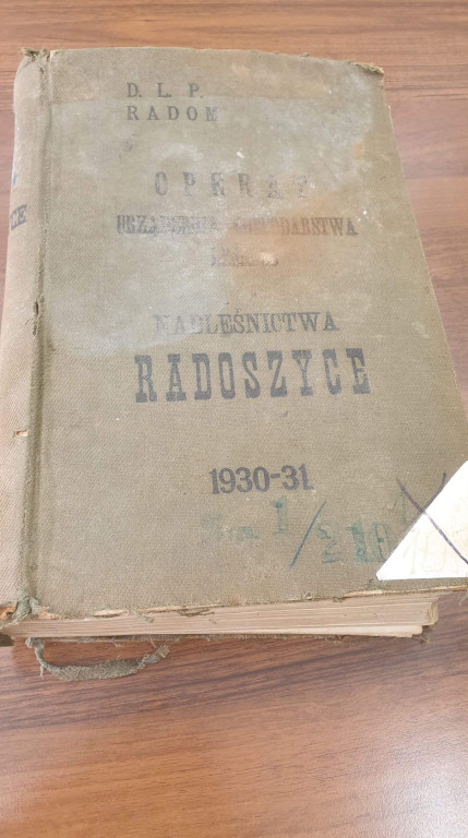 Nadleśnictwo Ruda Maleniecka zmieni nazwę na Nadleśnictwo Radoszyce? [zdjęcia]