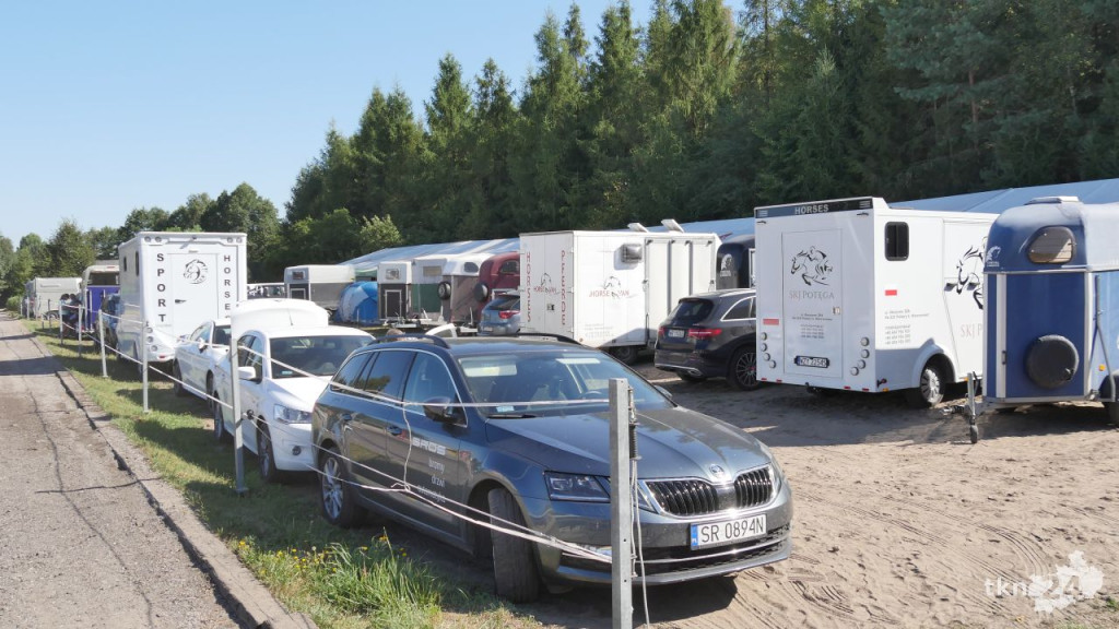 Około pięćdziesięciu koni rywalizuje dziś w Pile [zdjęcia]