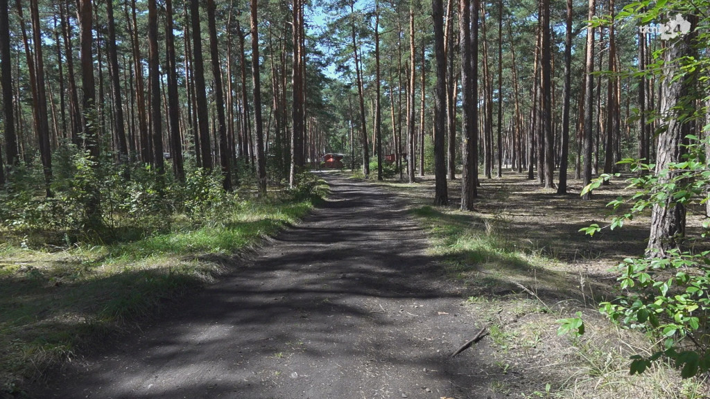 Owocna współpraca Nadleśnictwa Barycz z gminą Końskie. Zobaczcie wspólne projekty [wideo, zdjęcia]