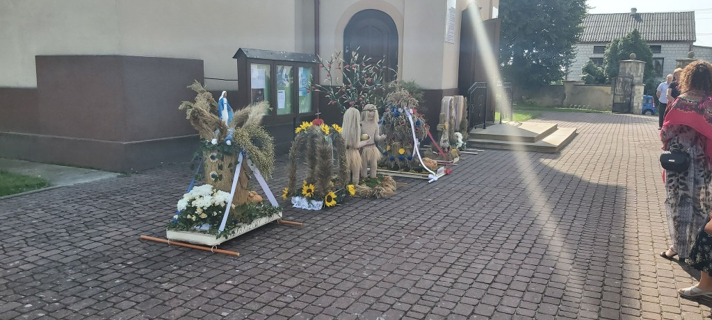 Bedlno pamięta o ludowej tradycji dożynek [zdjęcia, wideo]