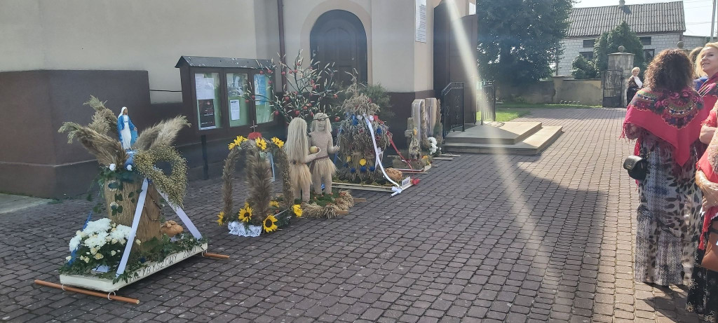 Bedlno pamięta o ludowej tradycji dożynek [zdjęcia, wideo]