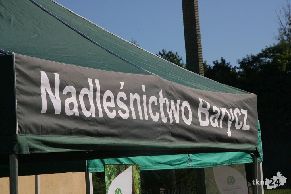 #SADZIMY LAS. Leśnicy rozdawali darmowe drzewka [wideo, zdjęcia]