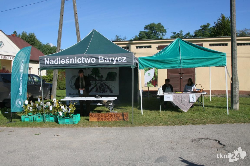 #SADZIMY LAS. Leśnicy rozdawali darmowe drzewka [wideo, zdjęcia]